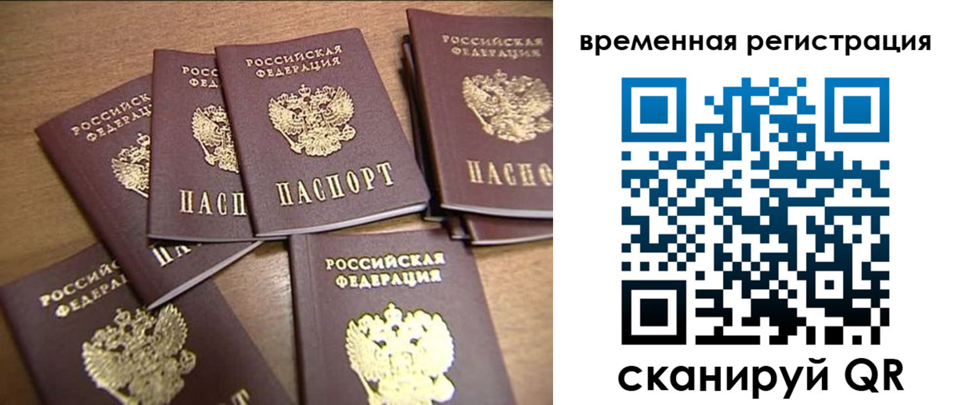 прописка ребенка в Лосино-Петровском